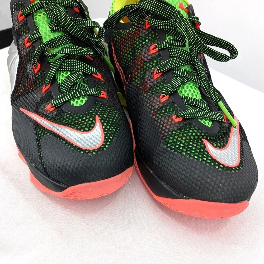 Nike Lebron sneakers ship